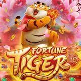 os melhores horarios para jogar fortune tiger ícone